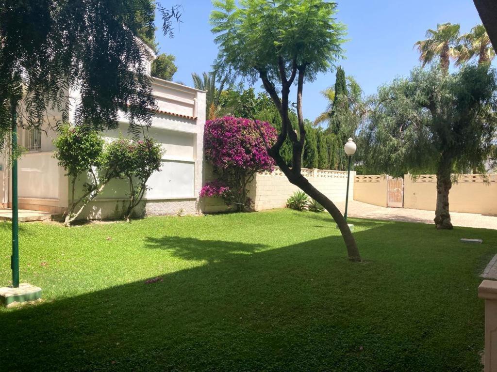 Apartamento Con Piscina Y Parking El Campello Extérieur photo